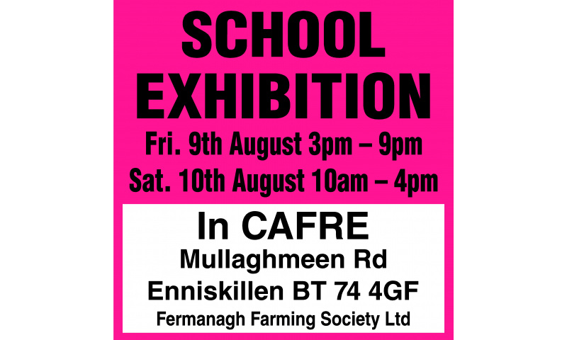 invite-to-our-school-exhibition-24